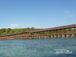 Tak Kalah dengan Bunaken, Perkenalkan Si Cantik dari Mamuju