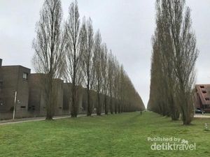 Tak Seceria Tahun Lalu, Musim Semi di Utrecht Terasa Sunyi