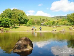 Taman Cantik Bak Lukisan di Jepang