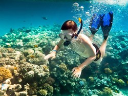 Taman Laut Pulau Payar, Surga Menyelam di Malaysia