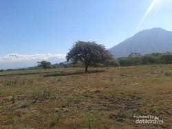 Taman Nasional Baluran, Afrika dari Jawa Timur