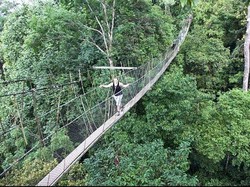 Taman Negara, Liburan Seru Ala Penjelajah Hutan di Malaysia