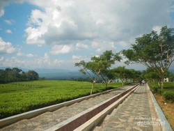 Tangga Seribu, Ikon Wisata Pagaralam di Sumsel