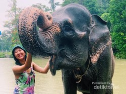 Tangkahan, Ini Tempat Liburan ala NIcholas Saputra