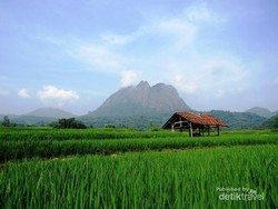Tantangan Panjat Tebing di Gunung Parang, Purwakarta