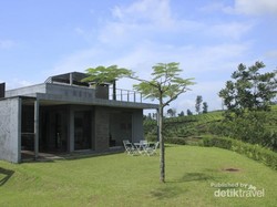 Tea Garden Resort, Destinasi Pelepas Stress yang Lagi Hit di Subang