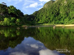 Telaga di Aceh Ini Tak Kalah Cantik dari Taman Nasional di AS