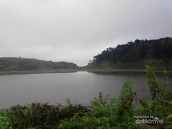 Telaga Dringo, Ranu Kumbolo di Jawa Tengah