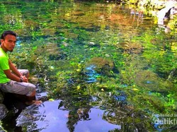 Telaga Nilem di Kuningan, Jernih Banget!