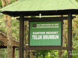 Teluk Brumbun, Surga Tersembunyi Si Burung Jalak Bali