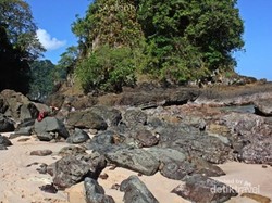 Teluk Hijau, Serasa Pantai Pribadi di Banyuwangi