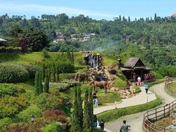 Tempat Asyik Naik Kuda di Bogor