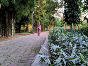 Tempat Buang Sampah Jadi Taman Bunga Indah di Surabaya
