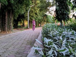 Tempat Buang Sampah Jadi Taman Bunga Indah di Surabaya