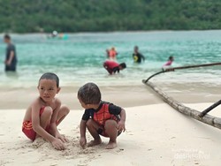 Tempat Kamu Melihat Lumba-lumba di Lampung