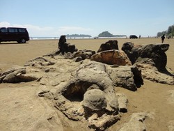 Tempat Melihat Penampakan Malin Kundang dari Dekat