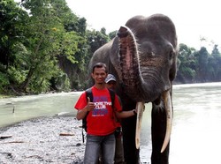 Tempat Memandikan Gajah di Sumatera Utara