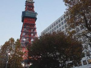 Tempat Terbaik Memandangi Tokyo