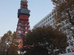 Tempat Terbaik Memandangi Tokyo