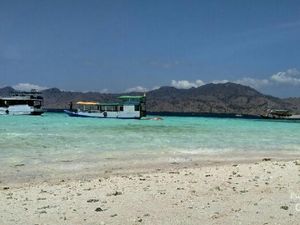 Tempat yang Wajib Didatangi di Taman Nasional Komodo