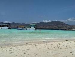 Tempat yang Wajib Didatangi di Taman Nasional Komodo