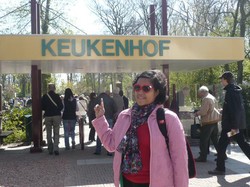 Tenggelam Dalam Lautan Tulip di Keukenhof