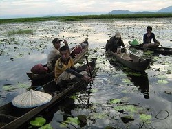 Tentramnya Kehidupan Kampung Terapung Sungai Lanowulu