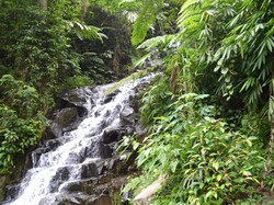 Tergoda Gemericik Air Terjun Irenggolo