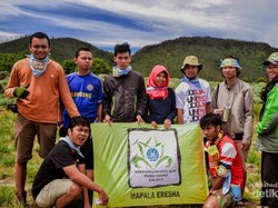 Terhipnosis Padang Edelweiss Papandayan