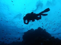 Terperangah Indahnya Alam Bawah Laut Pulau Cozumel, Meksiko