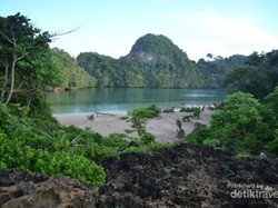 Terpesona Indahnya Pulau Sempu