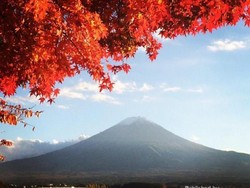 Terpesona Keindahan Musim Gugur di Kawaguchiko, Jepang