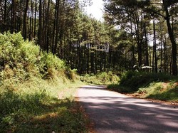 Terpikat Hatiku di Pintu Gerbang Ponorogo