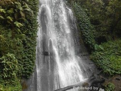 Tersembunyi, Ini Air Terjun Coban Sumber Pitu Malang