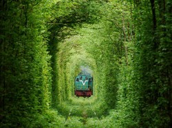 The Tunnel of Love, Terowongan Paling Romantis di Dunia