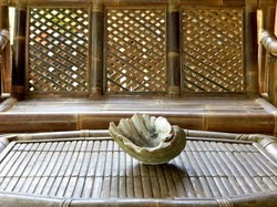 Tidur di Sarang Badak, Ujung Kulon!