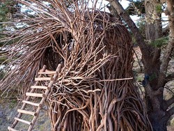 Tidur Seperti Seekor Burung di Penginapan Ini