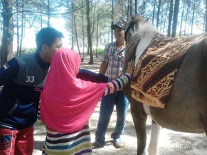 Tips Naik Kuda Bagi Anak-anak