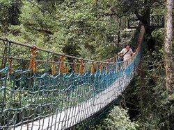 TN Gunung Halimun Salak, Saksi Bisu Jatuhnya Sukhoi