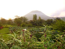 Tomohon, Kota Kembang yang Sesungguhnya