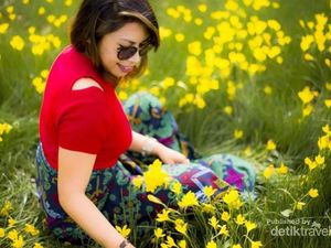 TTS, Selandia Baru dari timur Indonesia