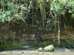 Tulungagung Juga Punya Pantai Cantik