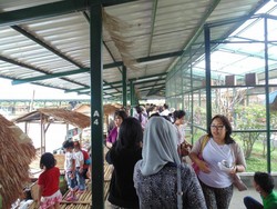 Udara Sejuk & Pemandangan Cantik di Lembang Bikin Kangen