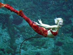 Uhui! Ada Putri Duyung di Weeki Wachee Springs