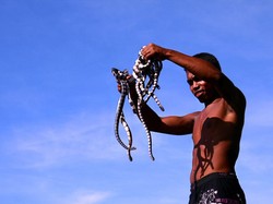 Uji Nyali, Liburan Bareng Ular di Pulau Ular