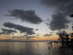 Ujung Kulon, Rengkuh Aku Dalam Peluk Senjamu