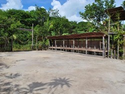 Ukiran Dayak yang Keren Ada di Desa Ini