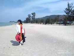 Unik! Pantai Tikus Emas di Bangka