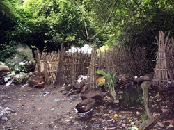 Unik! Tradisi Pemakaman di Desa Terunyan, Bali