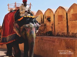 Uniknya Kota Pink Jaipur di India